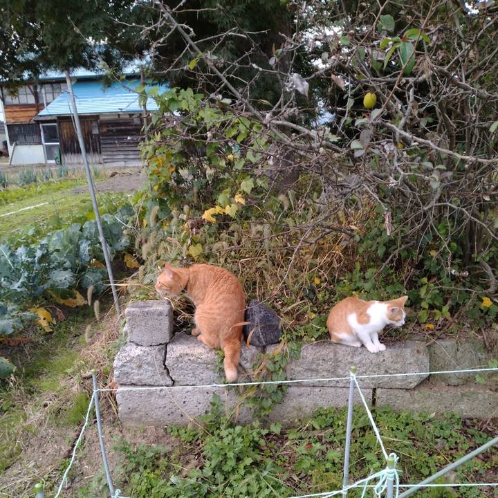 4da6d152 0f25 46e1 8d7d 482f89eea1ab 1729242256786