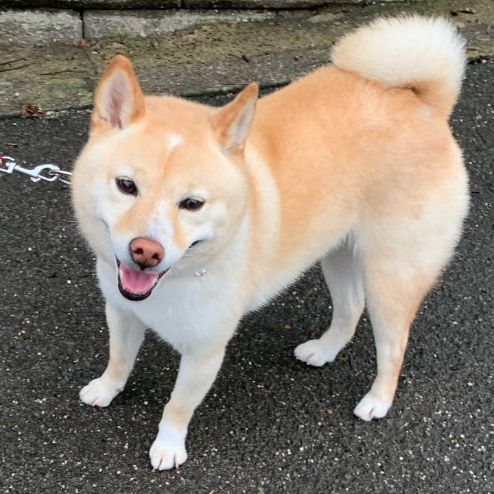 4da724a6 797f 4687 97ad 2a38b242a89a 1657751391759