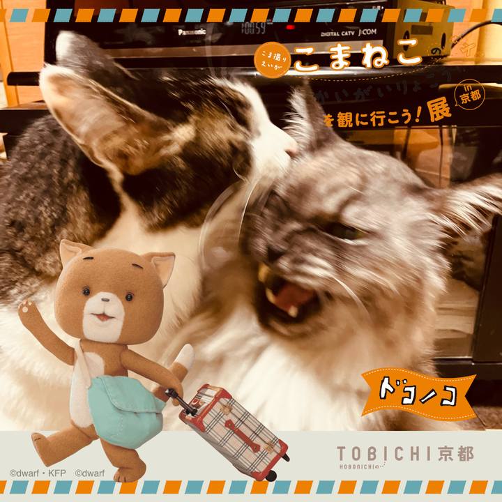 4da72fbb 0843 472e 93e5 86da8653ade3 1740104150513