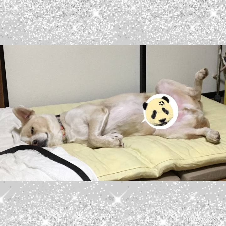 4da7849a d4a8 4009 bd0e a5d160c1b49f 1541336337578