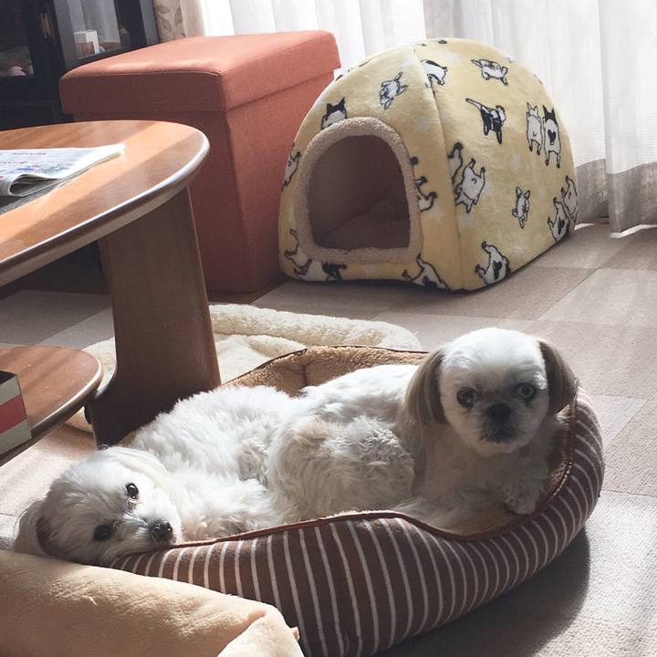 4da79617 c523 4f55 b03f 7aa27926ce5d 1545013833306