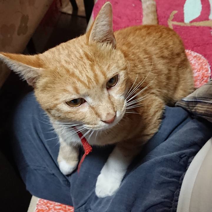 4da7cd3a 7076 45e4 9f6b 9f7c3d4d1159 1569407983170