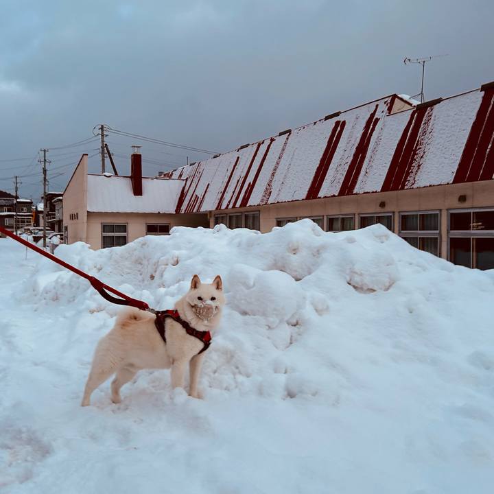 4da7f748 8cd5 4fca a53f 7a2655c7cfa7 1766009358309