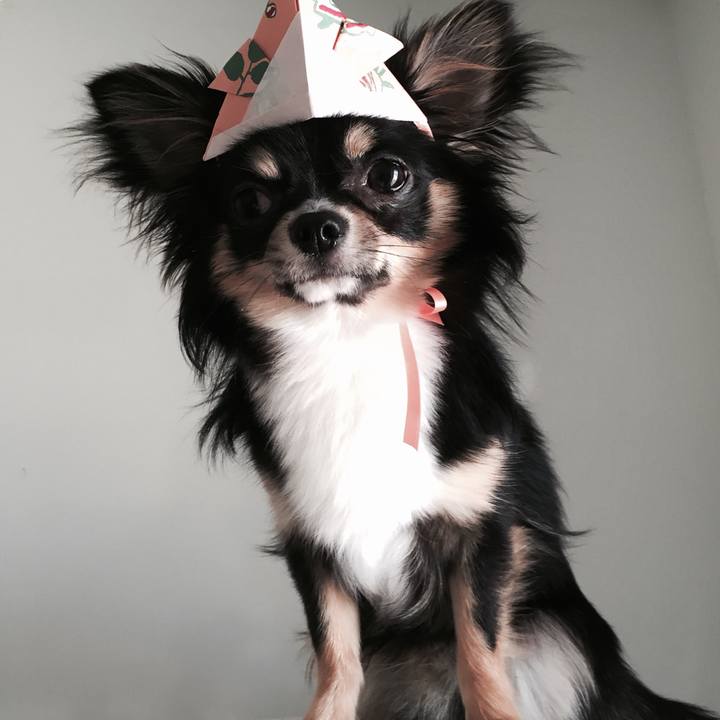 4da80670 1aa9 420f af1d 73d6e626e997 1525484214047