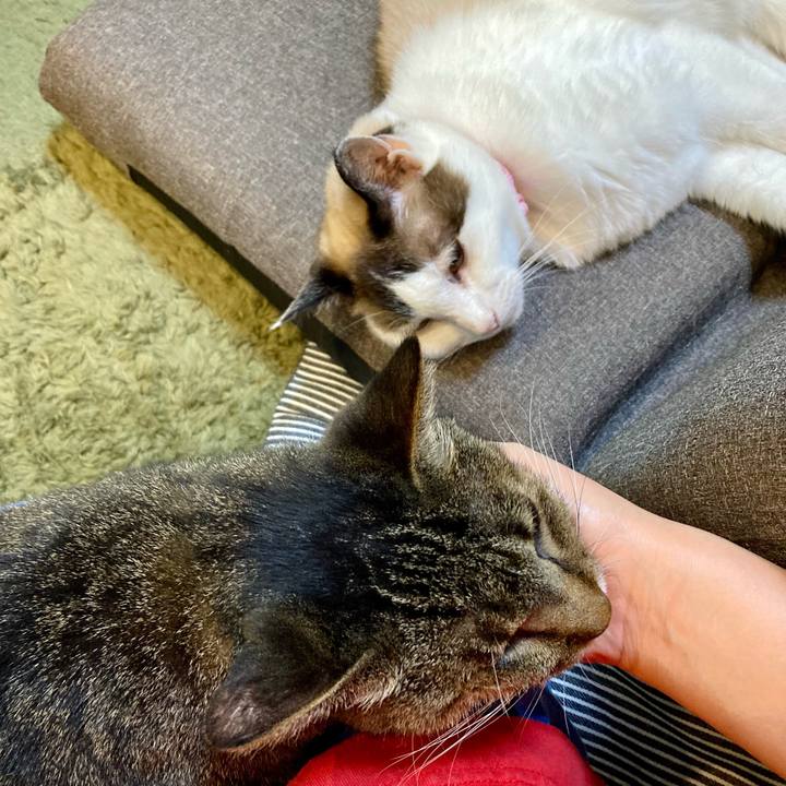 4da85394 4979 4f3a 98ce fab153e6ca38 1656672897626