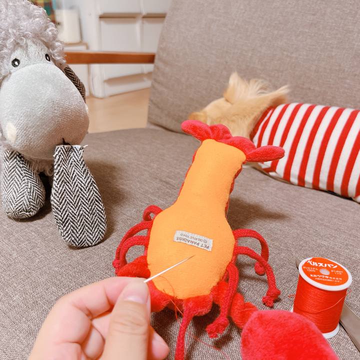 4da862cf 4faa 4533 84a9 8d064da2eea0 1664189331135