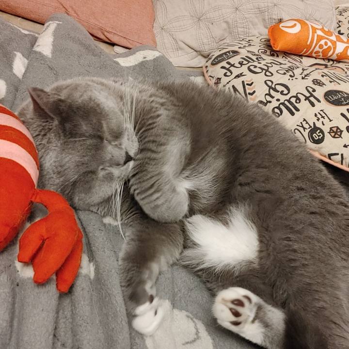 4da88334 1767 4570 8de7 e09ce881d84d 1620193468436