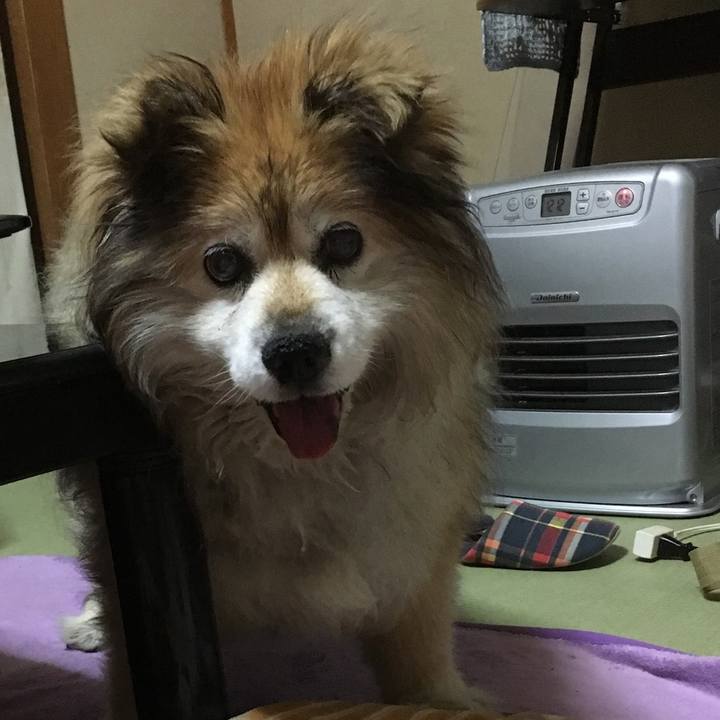 4da8d001 1e83 4a1d 8d27 7ab27da415c9 1586808069222