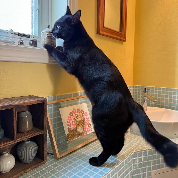 4da90a4a db72 48d4 8183 90101188c222 1768176375901