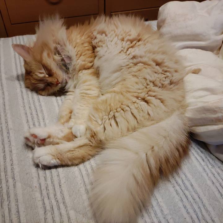 4da93a2f ef52 4d1c 9aca f5e872dc0745 1717841056760