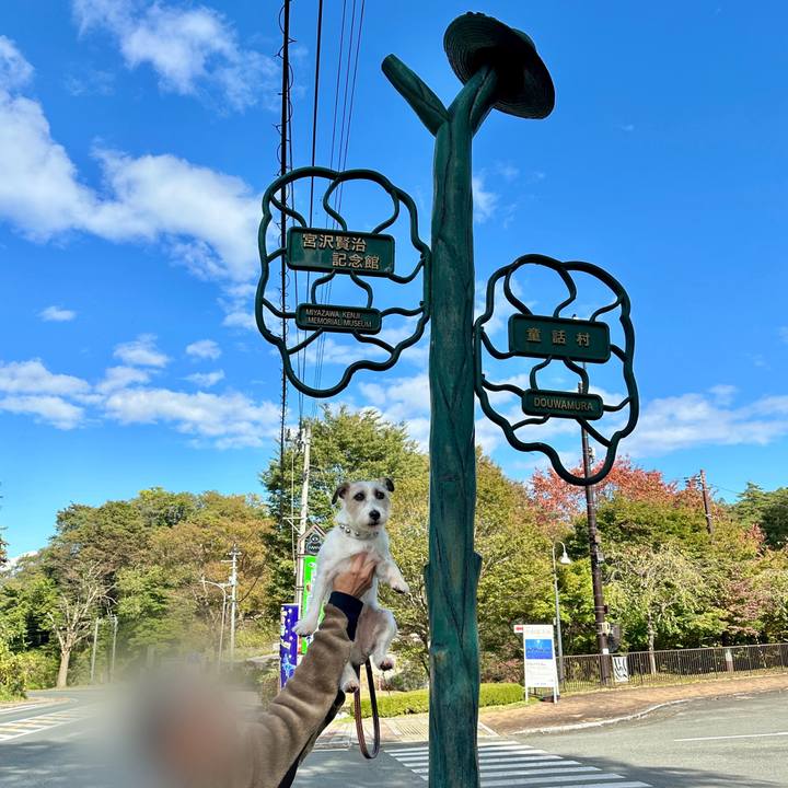 4da95703 7ebe 4f06 bd2a 309b6b0fe269 1761408811267