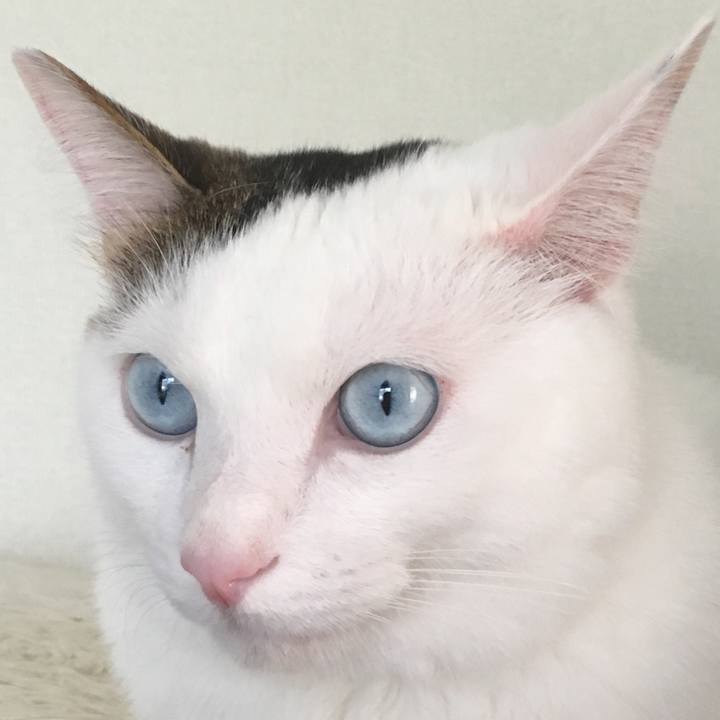 4da99eaa 1b1d 446f b62f bdc52187e2e2 1690591379950