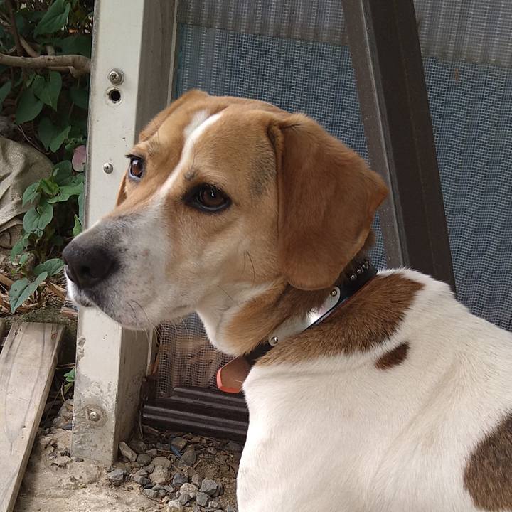 4da9a2b5 fe92 430d 8ced 9904b3662b89 1621431868984