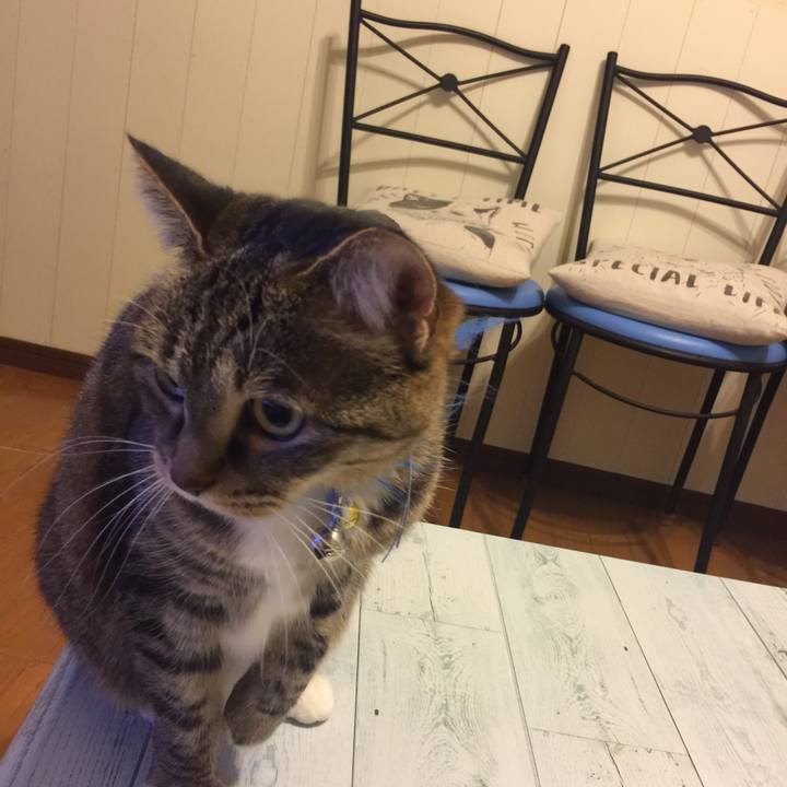 4da9ac6b ca62 4302 b56b ace83d6e32bb 1547135881654