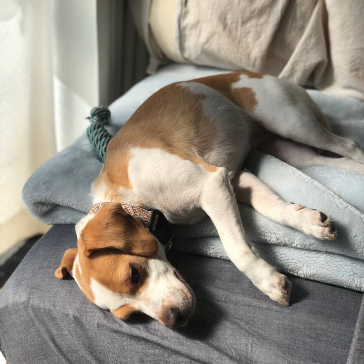 4da9d17d 2a1c 4808 a9b5 fd0a27be0a25 1612639355712