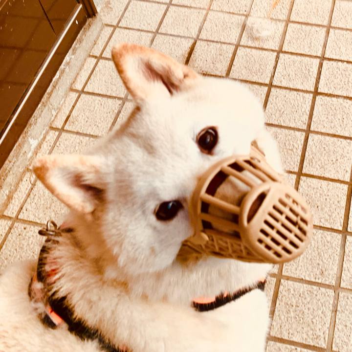 4da9dadc 990f 4905 b093 170f8d260bbf 1620077383516