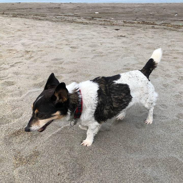 4daa2a02 d947 434d bf31 582c2b313fd9 1566174609571