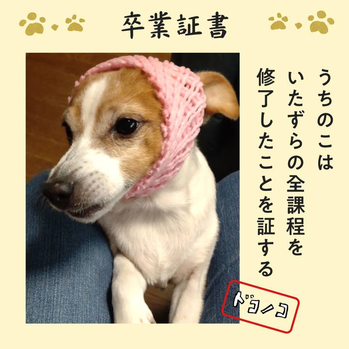 4daa915e ff63 46f3 ab40 cc0d6bc1214c 1772065908086