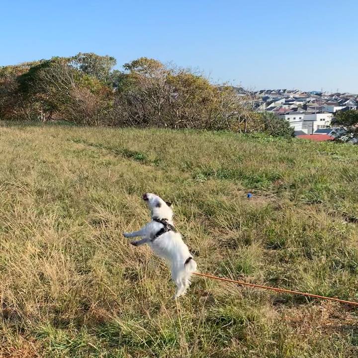 4daaa32c cf98 4a4a 950b 9b455db8a195 1698796507803