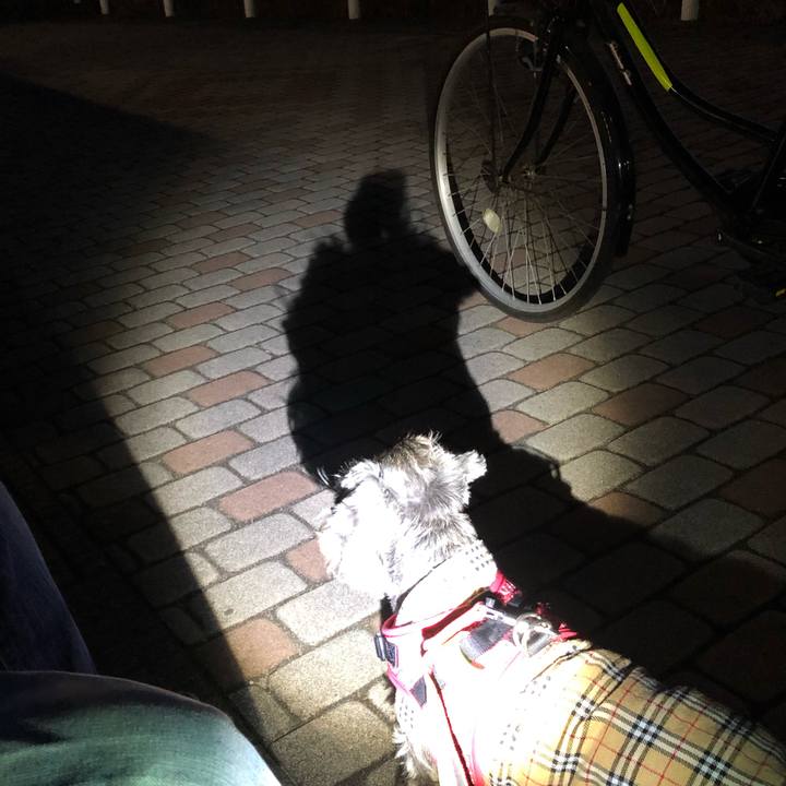 4daaa4b8 5480 4285 b21f f1e005a03e99 1585223052492