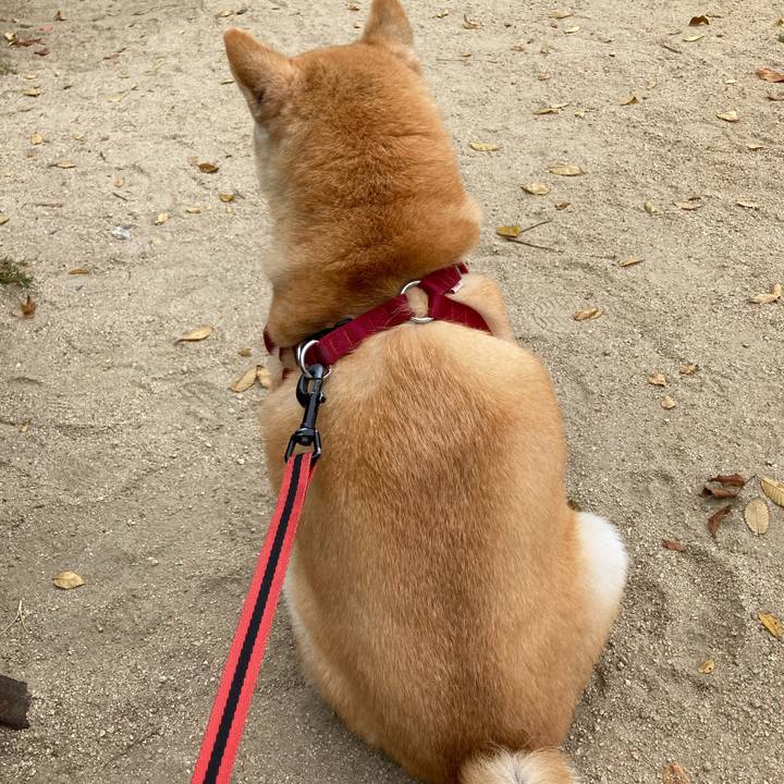 4daacce7 213e 4439 a650 648390562285 1633091460441