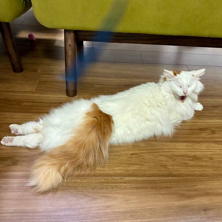 4dab55ca 5a55 47b3 92ca 7150570b7139 1770953995312