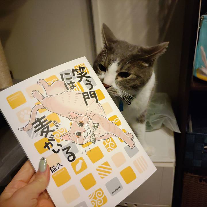 4dab935e 8c49 4216 b8f6 690458be41bc 1677076671542