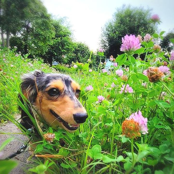 4daba72a 613e 465b 840a c4fe5c1fce42 1753696398205