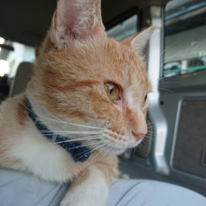 4daba76a 338b 4aac a15d 815ab1f348ad 1559814247561