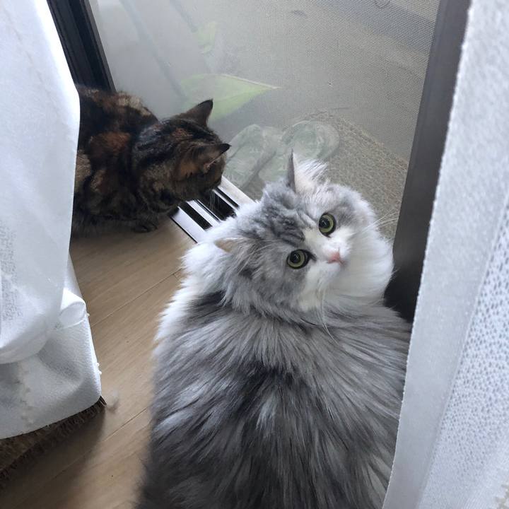 4dabcfad 8afc 453f 90e3 d003f723889d 1622728871026