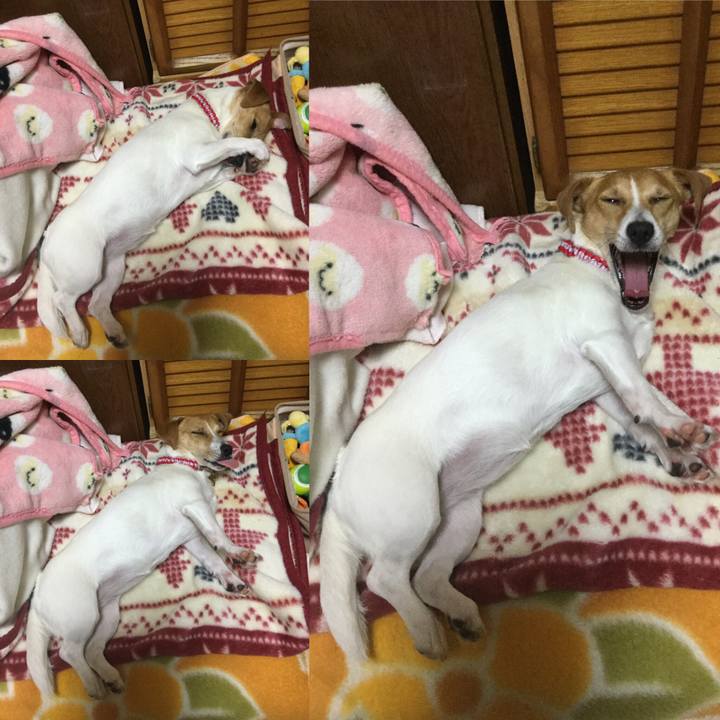 4dac0add dd44 4e5c 996a 17c004b09e04 1552131193930