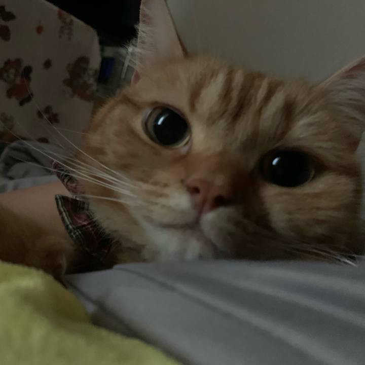 4dac1011 c7f6 442d 85f7 ab534a941b18 1591404061394