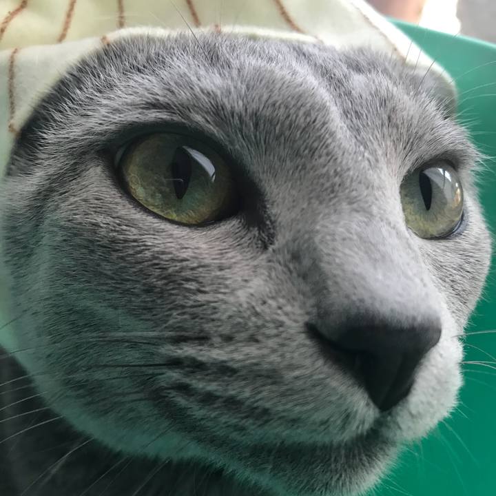 4dac2019 393a 4b07 9df7 67d75c8d04e7 1532173810598