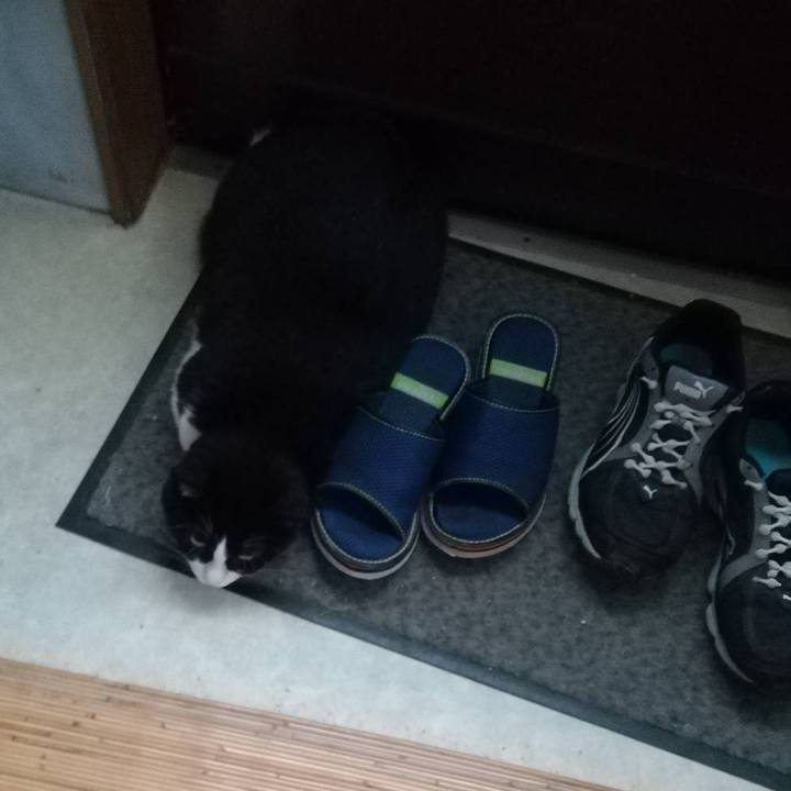 4dac3c55 4872 44ef 84c5 8e4ea75899fb 1567087023155