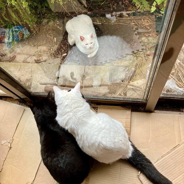 4dac3e79 824e 4f3e 9723 3d77f53314ee 1761548257632