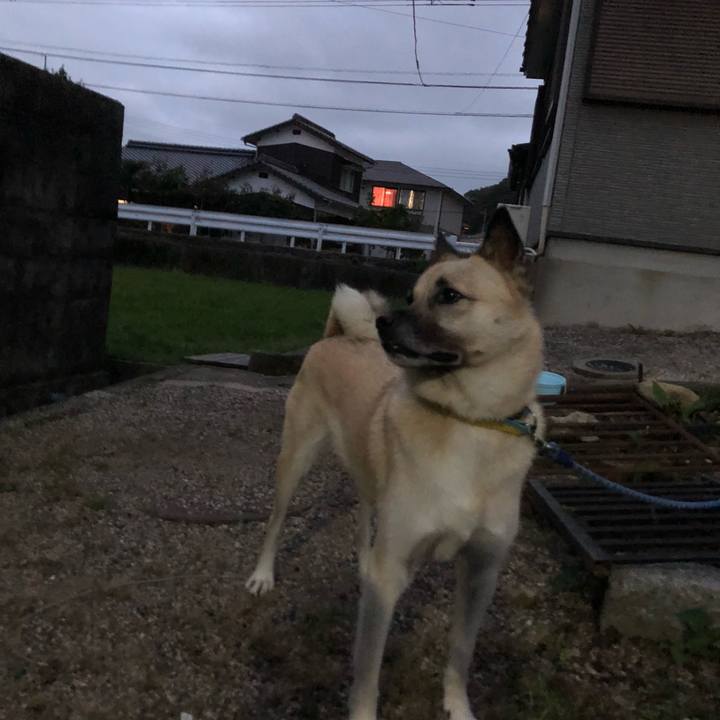 4dac5131 84c2 4666 8308 12295dc48979 1600258103205