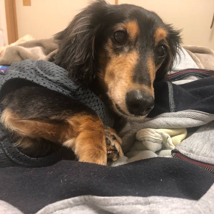 4dac5677 3a6c 4069 980a 5d72202cbbdf 1625142511946