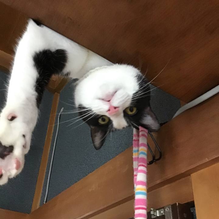 4dacd041 948d 4661 aab7 d2748750854a 1656061534989