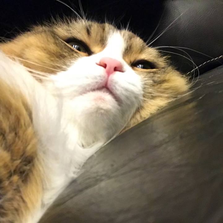 4dacf927 8d52 437c a278 4ceda84958cd 1510584463213