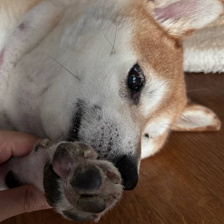 4dad398d f963 4a2a 9be0 49ec34ebb31a 1726278430122