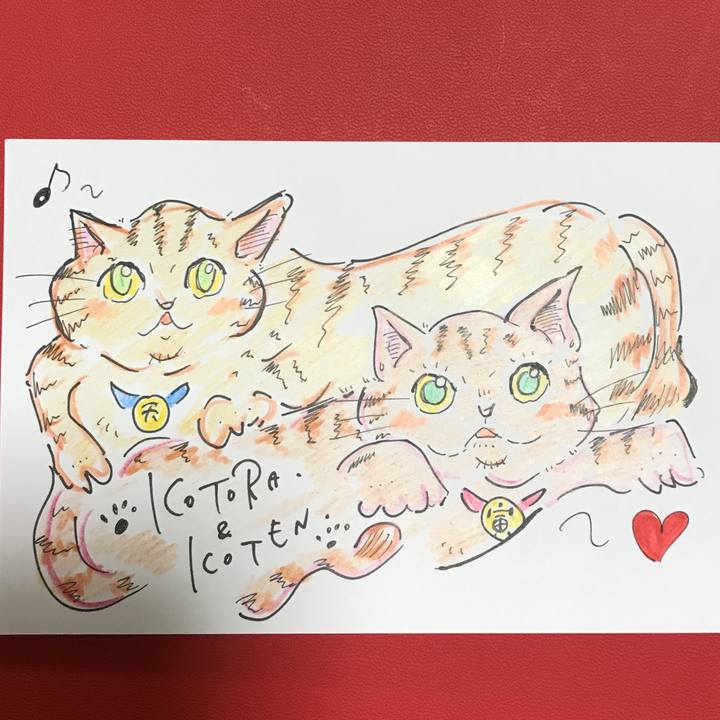 4dad5a59 5e24 435f 8817 5db024d5b6bd 1552830738772