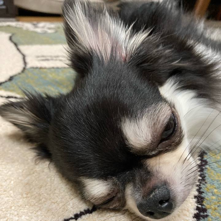 4dad75ce 790f 4ebe bfaa e80a5cae4ae8 1629554562074