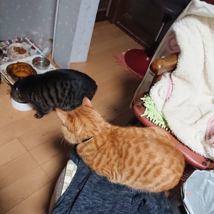 4dad82a7 deca 4128 81b7 e1472eeb44d1 1641853162086