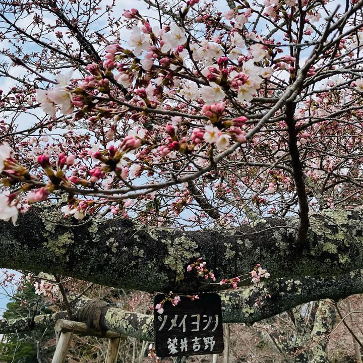 4dada15a 717b 44ba a282 dc2722762b2c 1744130402420