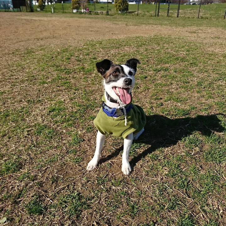 4dadb4f6 f65a 41b9 a575 d52b1885d619 1512531737066