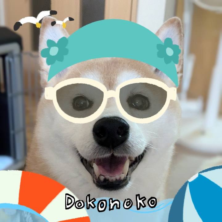 4dadb7d9 310c 4fe3 8ac9 e271bbbc9ca4 1723734707359