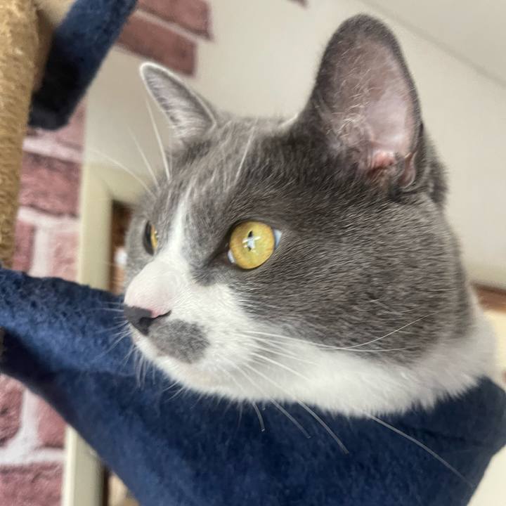 4dade12d 59b3 419d adbf bbdda00d8b32 1720049124386