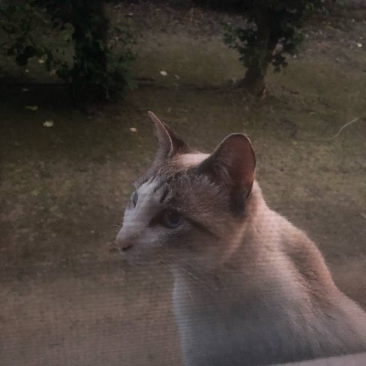 4dae0752 ac7a 48c0 962e 2f1abf66754f 1591179000848