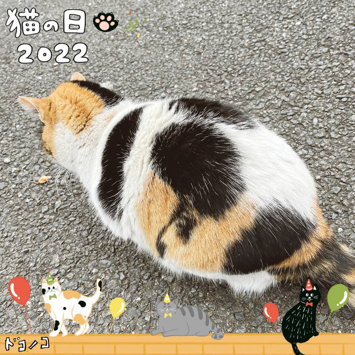 4dae600b 0d6d 4fdf a243 3b87cee54ca5 1645527366059