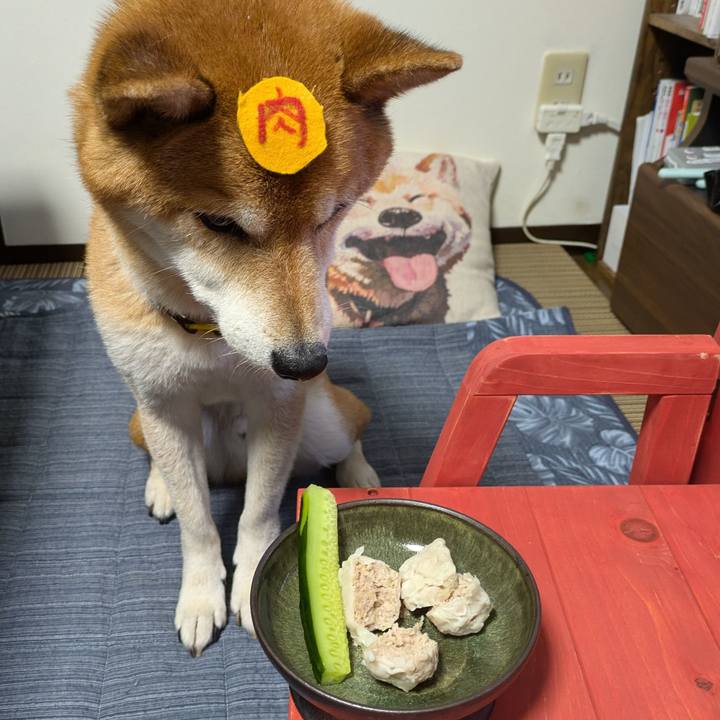 4dae852c cd36 4e85 b8ed 521ca5f41ba7 1719665943207